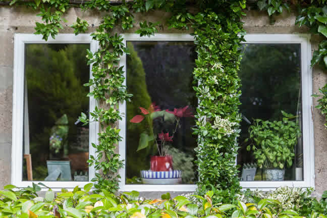 Slimline metal windows retaining the character of the original property