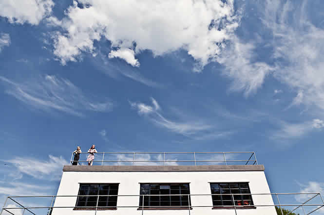 Steel-style replacement windows with slim sightlines